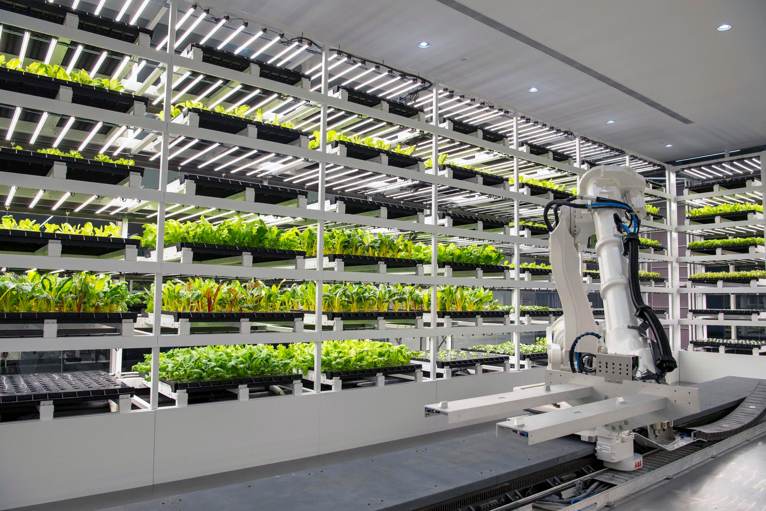 Robot arm tending to 'Smart Garden' at the Hyundai Motor Group Innovation Center in Singapore