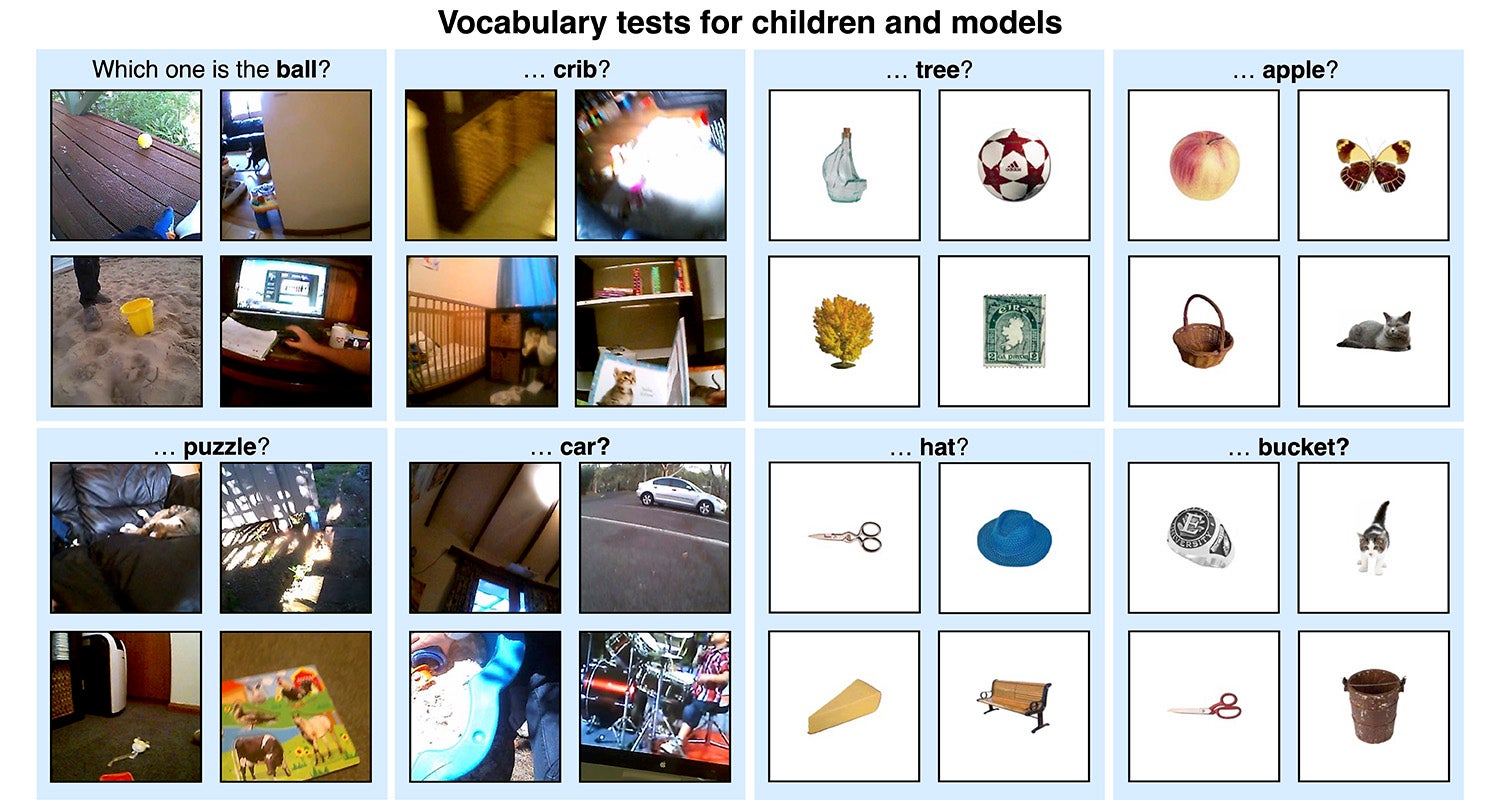 Testing procedure in models and children. Credit: Wai Keen Vong 