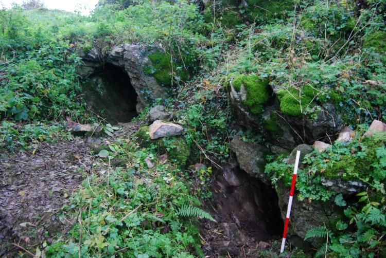 A save in Ireland surrounded by green foliage