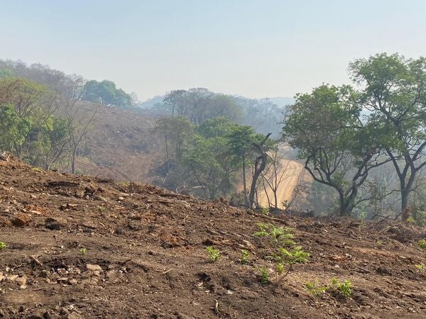 land cleared for a railway to transport iron ore