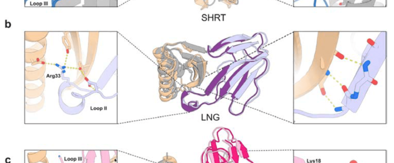 Scientists use AI to create completely new anti-venom proteins