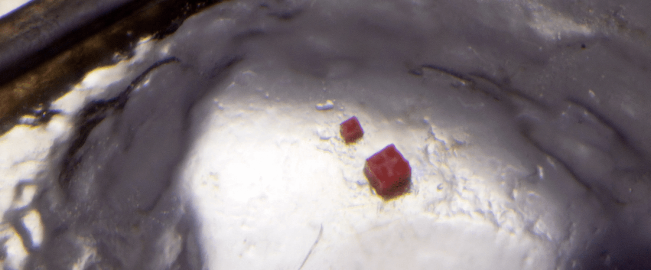 The world’s smallest handmade sculpture is a blood cell-sized Lego brick
