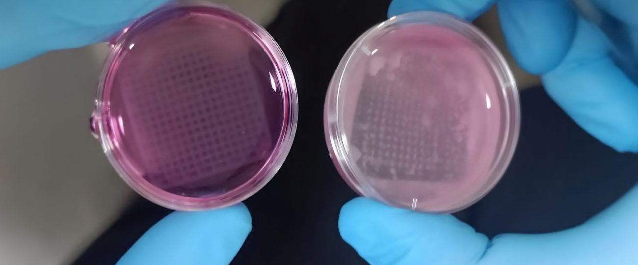 3D-printed ‘skin’ could make testing cosmetics on animals obsolete