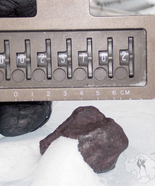 How did water end up on Earth? New evidence upends long-held theory.