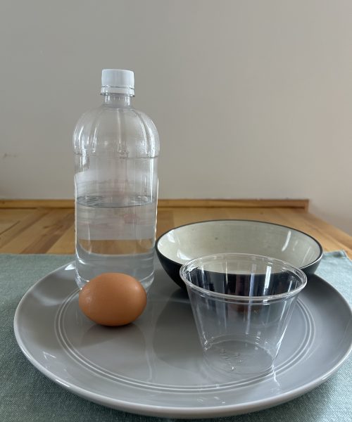 How to make an egg bounce