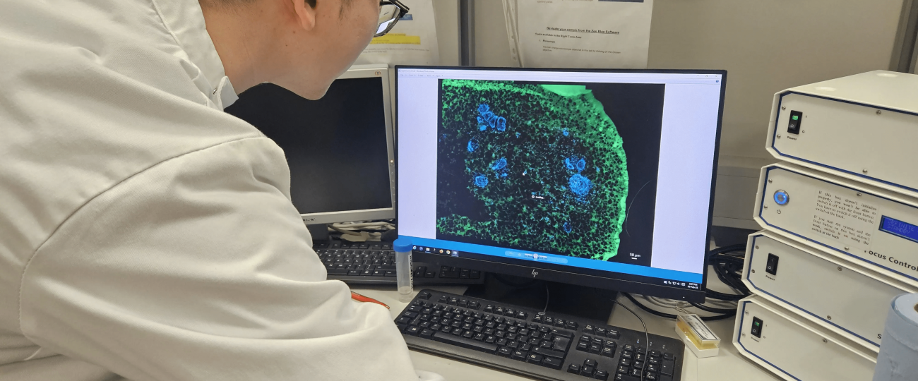 Lab-grown teeth could be the future of dentistry