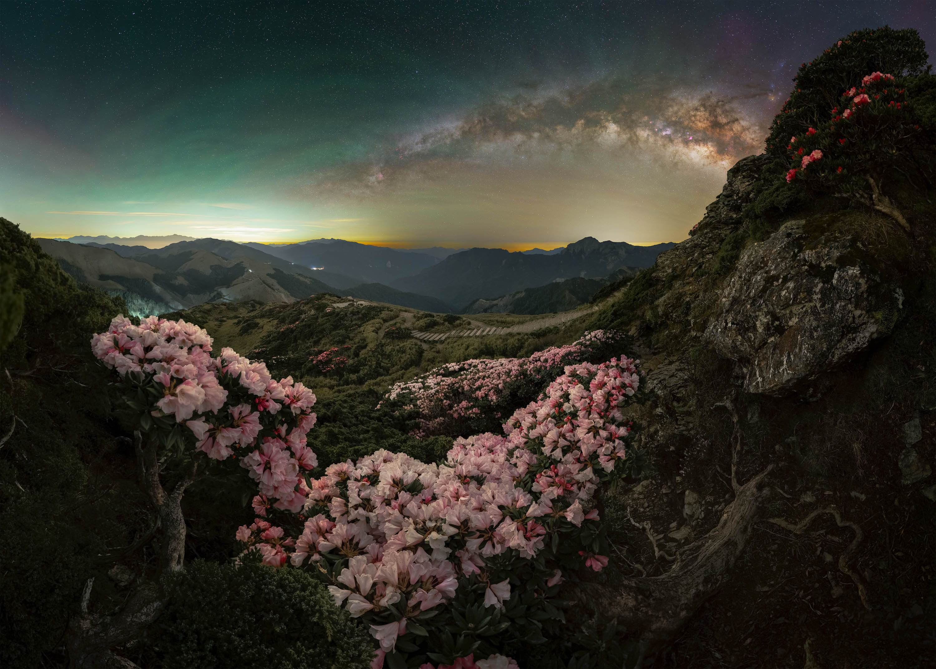 pink flower blossoms in foreground with mountains in background. milky way in sky