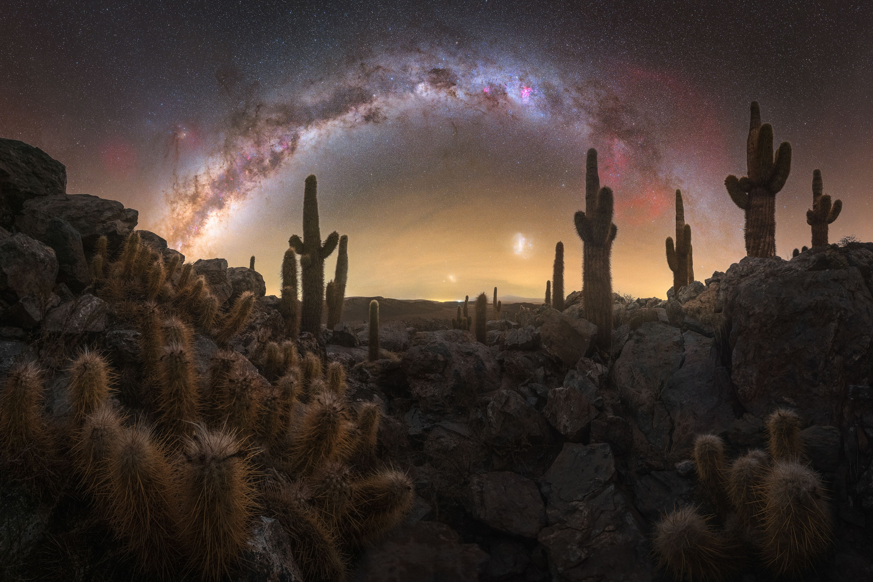 milky way arches over desert with cacti