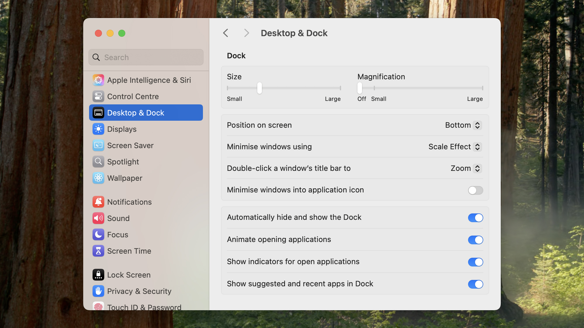 screenshot of dock setting options
