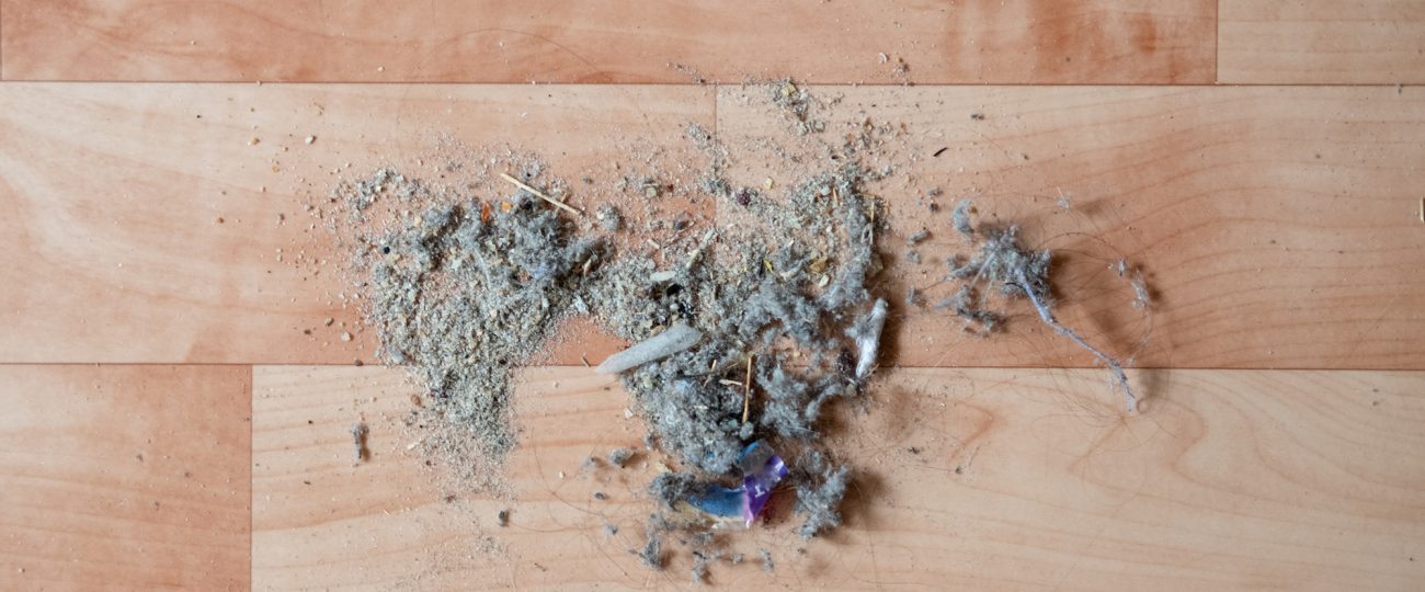 How to measure the air quality in your home by yourself and with a pro