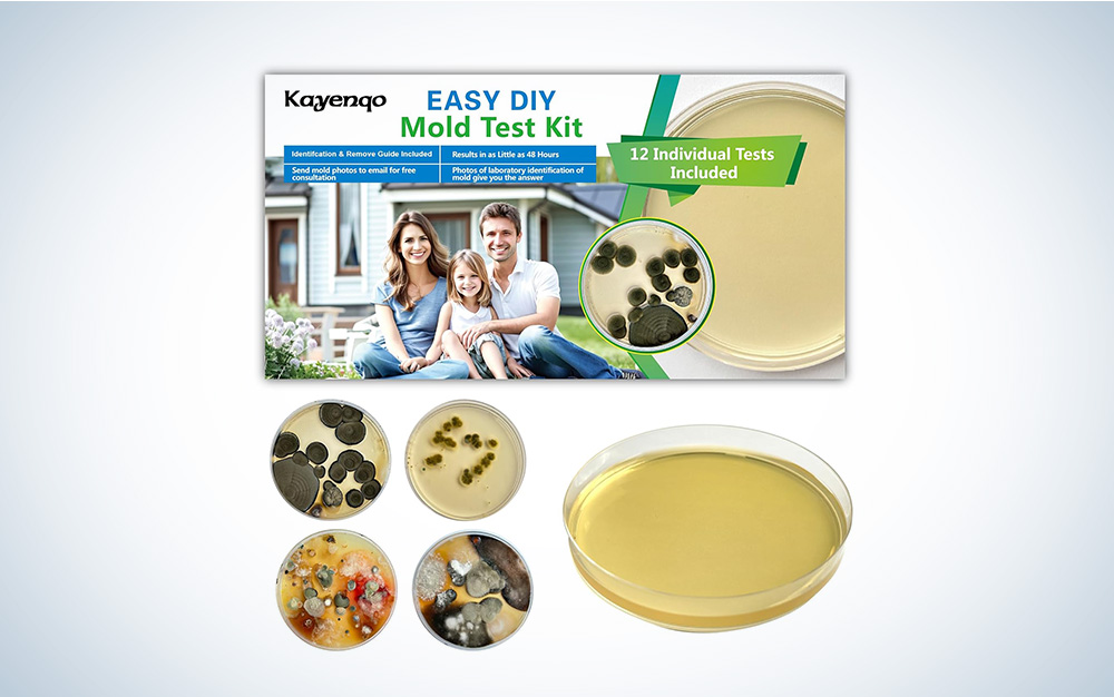 Mold tests shown against a grey gradient