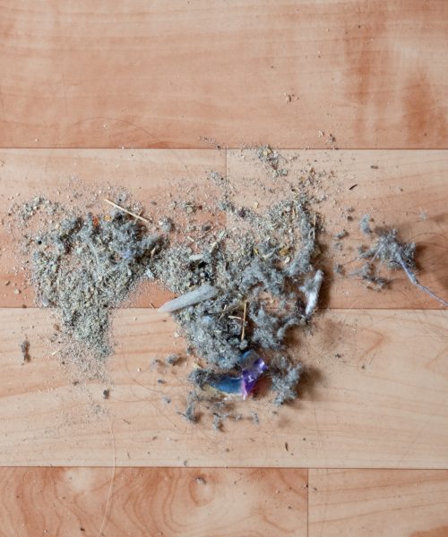 How to measure the air quality in your home by yourself and with a pro