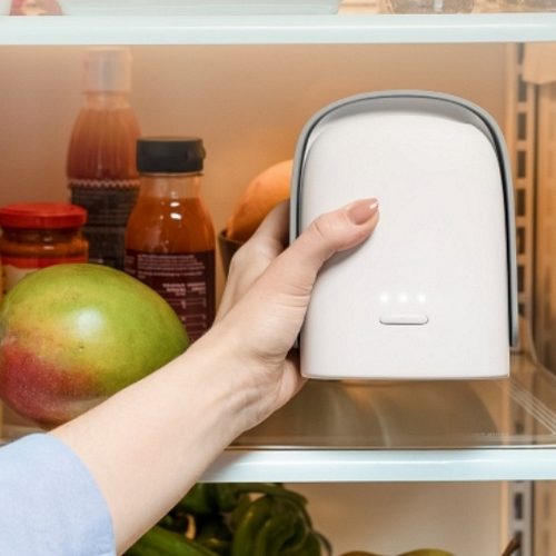 Vitesy Shelfy Lite Purifies Air in the Fridge to Extend the Shelf Life of Your Produce