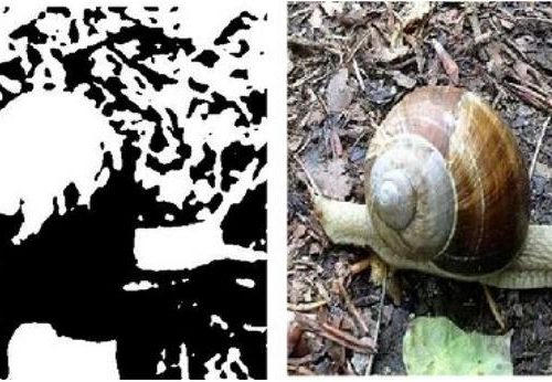 Your ‘Eureka!’ moments can be seen in brain scans