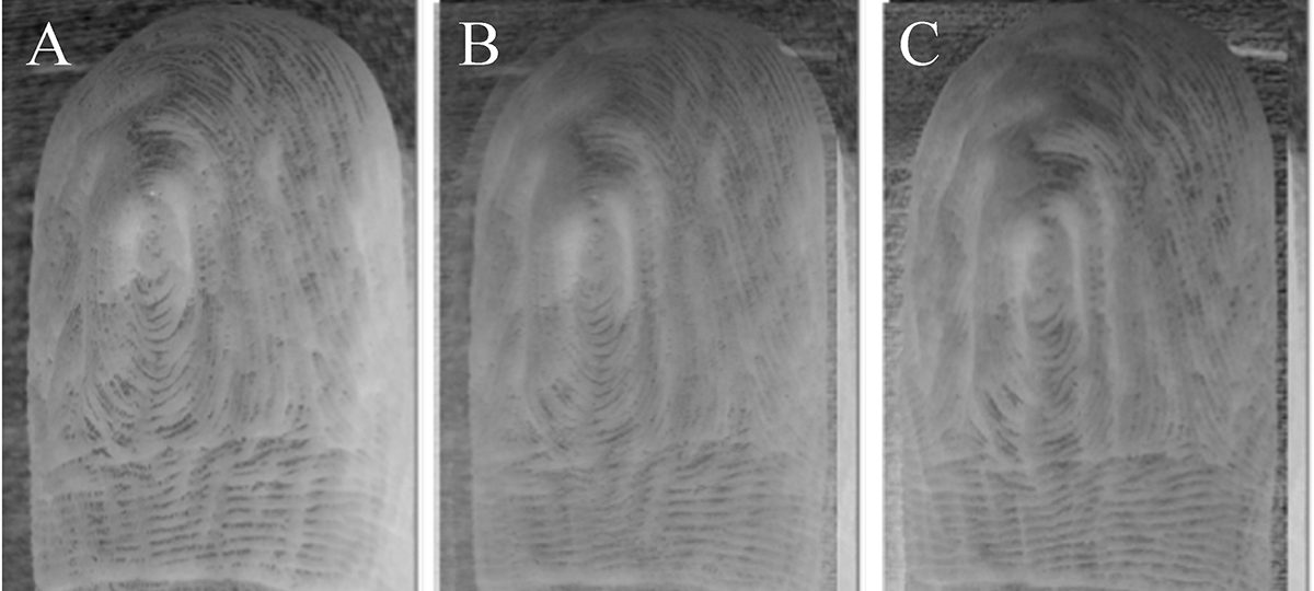 Your fingers wrinkle the same way every time they’re in water