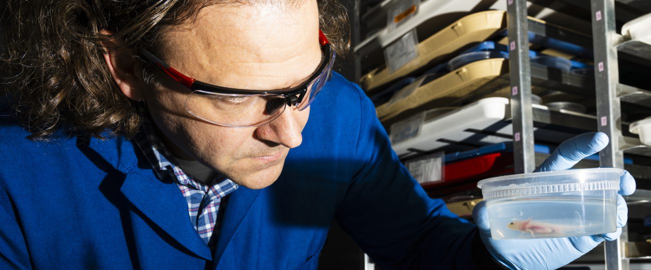 A chemical in acne medicine can help regenerate limbs