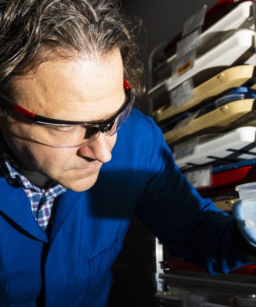 A chemical in acne medicine can help regenerate limbs