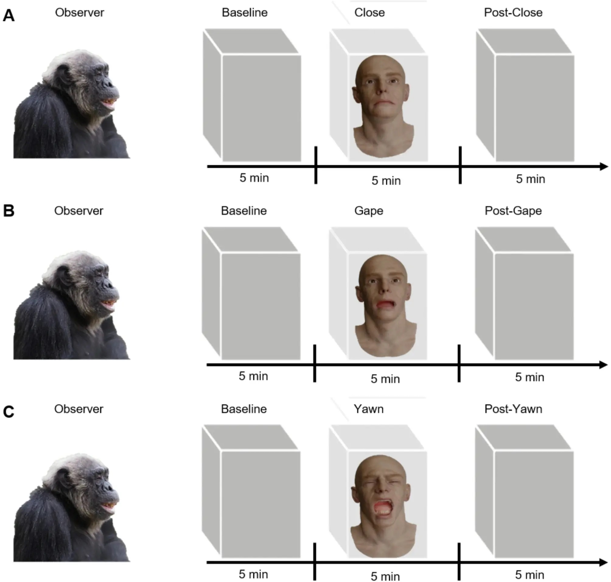chart showing chimps and robot face movements