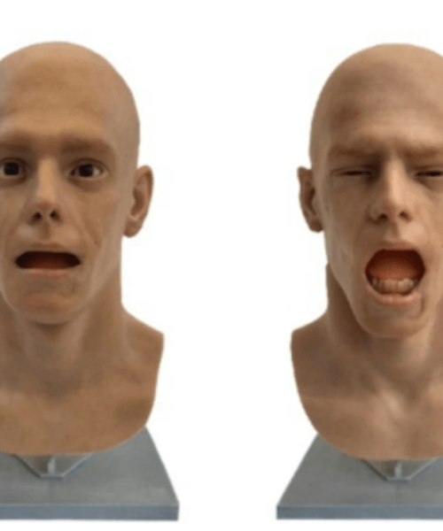 Chimpanzees ‘caught a yawn’ from this robot and researchers aren’t sure why