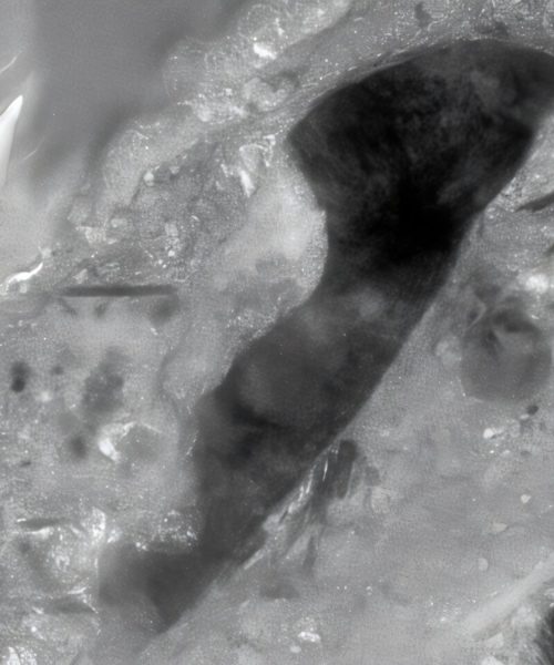 Deep space asteroid sample contains unexpected ingredient