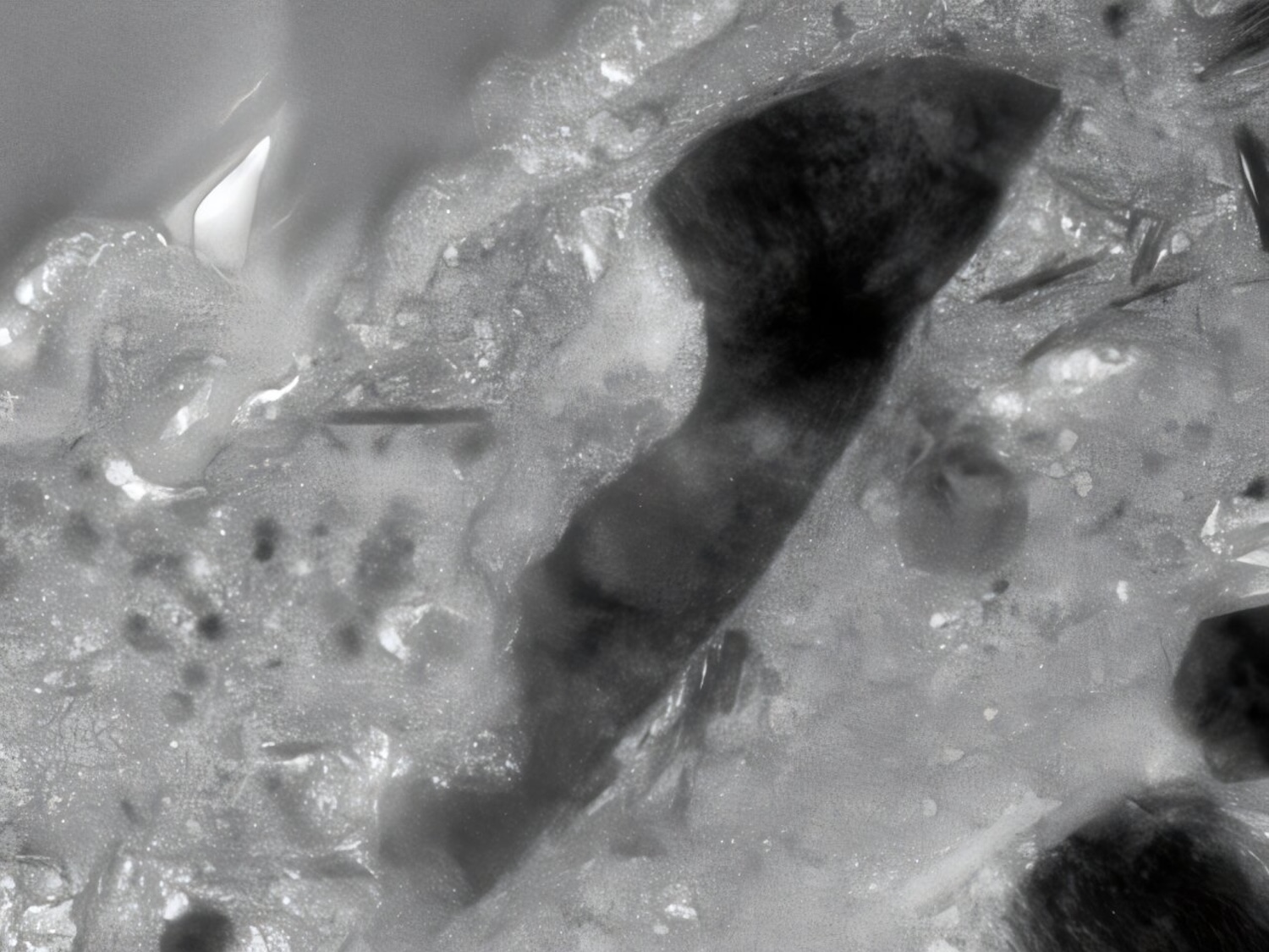 Bright-field transmission electron micrograph of the djerfisherite inclusion in the number 15 grain of sample plate C0105-042 from Ryugu.