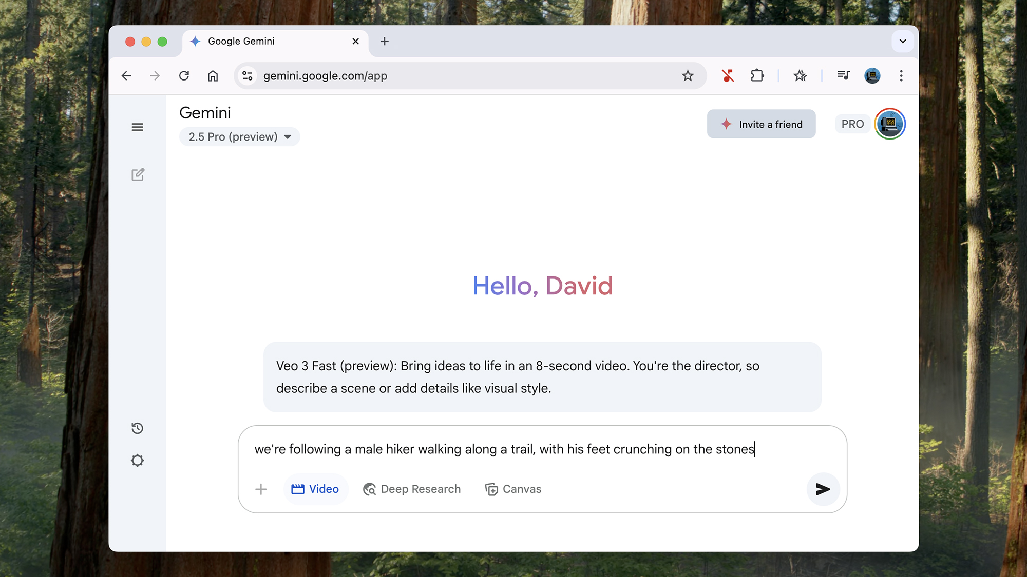 screenshot of a prompt in veo 3. it reads: "we're following a male hiker walking along a trail, with his feet crunching on the stones"