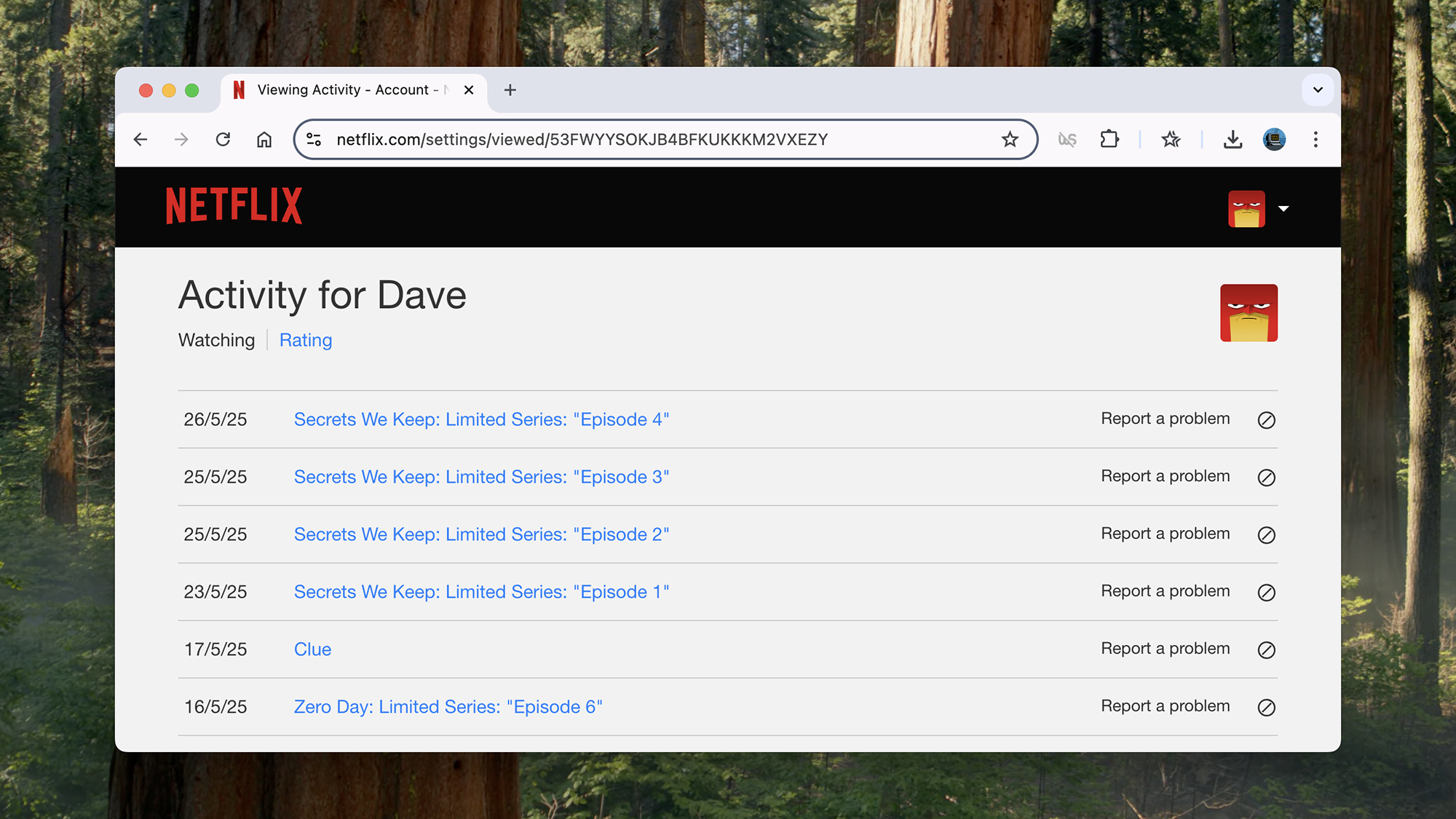 screenshot of activity window within netflix