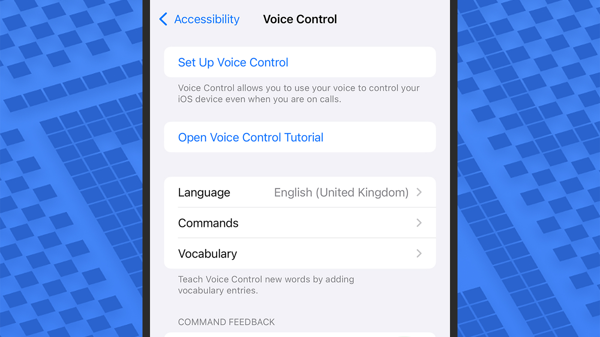 screenshot of voice control options on an iphone
