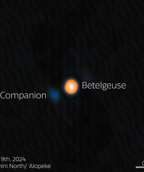 Betelgeuse’s companion star finally located after years of debate