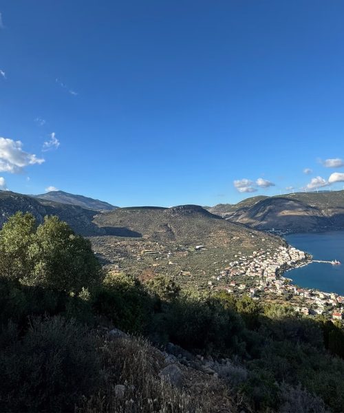 Mad emperor Caligula may have been a big plant guy