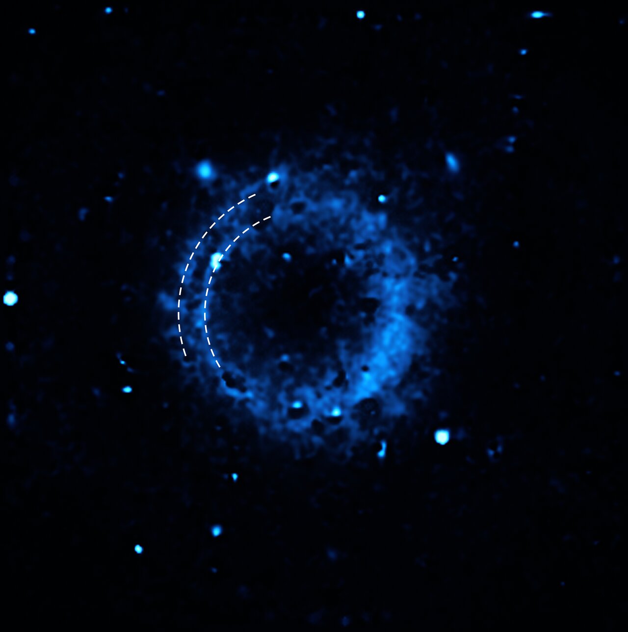 This image shows the distribution of calcium in the supernova remnant SNR 0509-67.5. The data were captured with the Multi-Unit Spectroscopic Explorer (MUSE) instrument at ESO’s Very Large Telescope (VLT). The overlaid curves outline two concentric shells of calcium that were ejected in two separate detonations when the star died several hundred years ago.