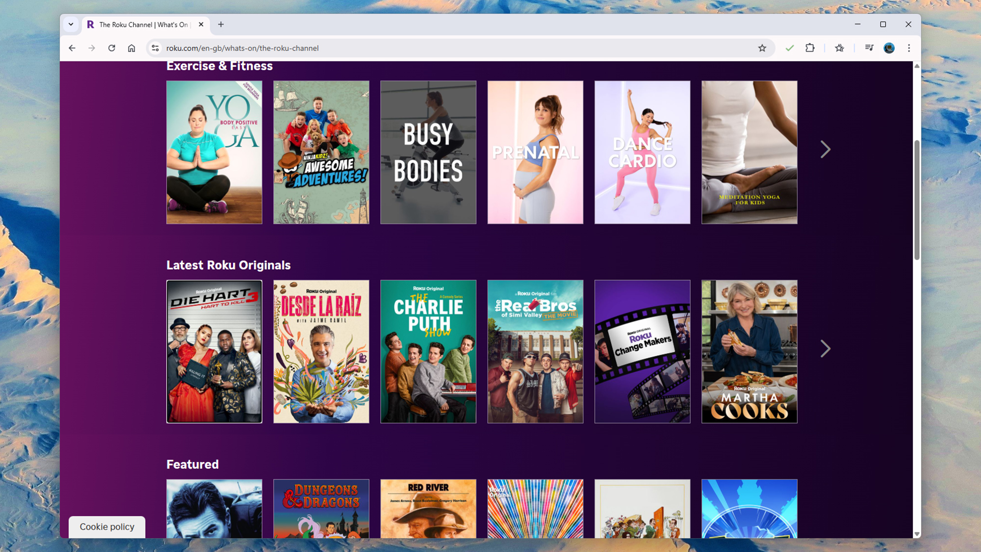 screenshot of roku app