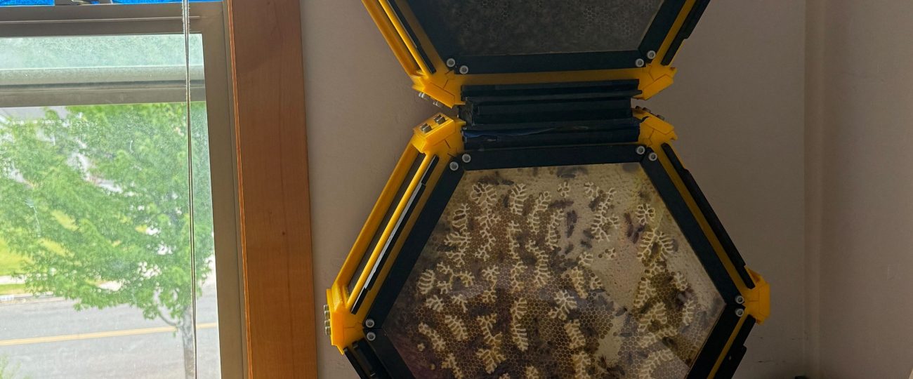 This teen 3D printed a beehive for his bedroom
