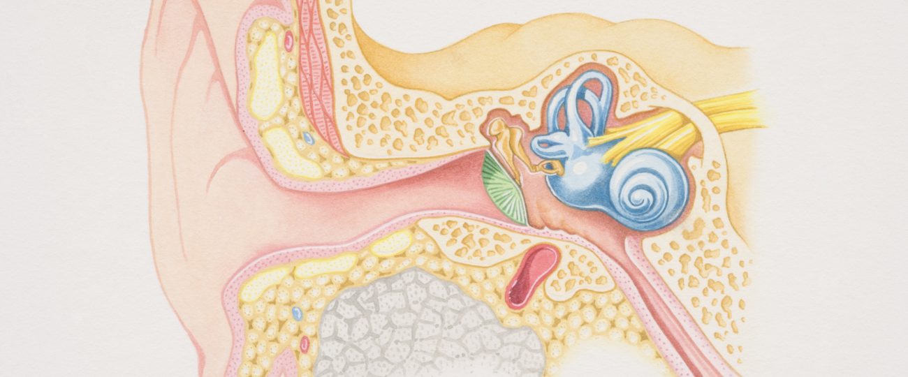 Why do our ears pop on a plane? An audiologist explains.