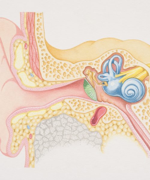 Why do our ears pop on a plane? An audiologist explains.