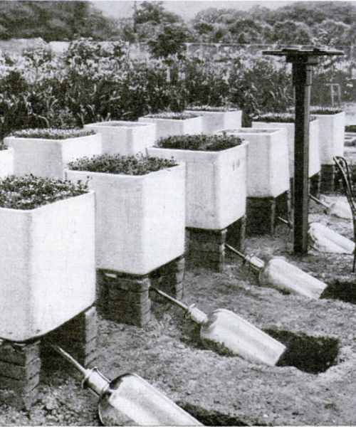 100 years ago, scientists thought we’d be eating food made from air