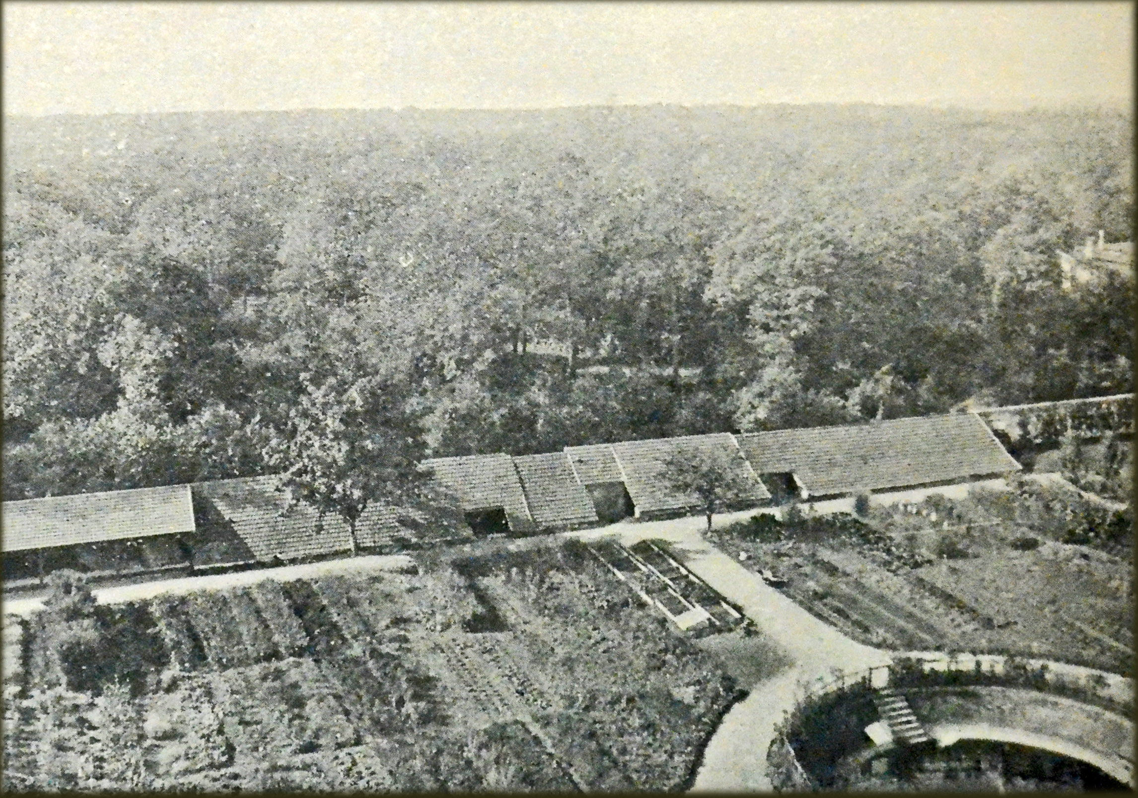 A black-and-white aerial photograph of Daniel Berthelot’s experimental field in Meudon, France, showing rows of garden plots, greenhouses with tiled roofs, and a circular structure at the bottom right.