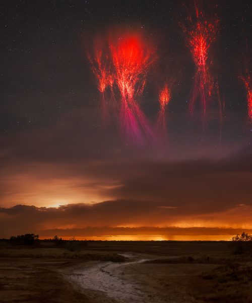 12 dazzling images from the 2025 Capture the Dark photography contest