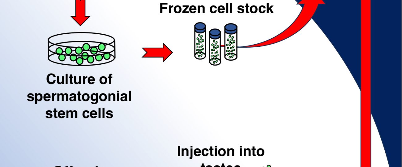 Earth welcomes baby mice from space