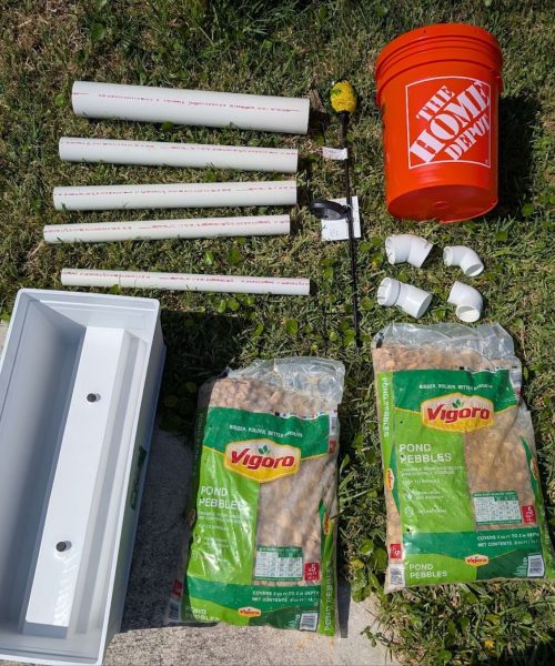 How to build a frog hotel