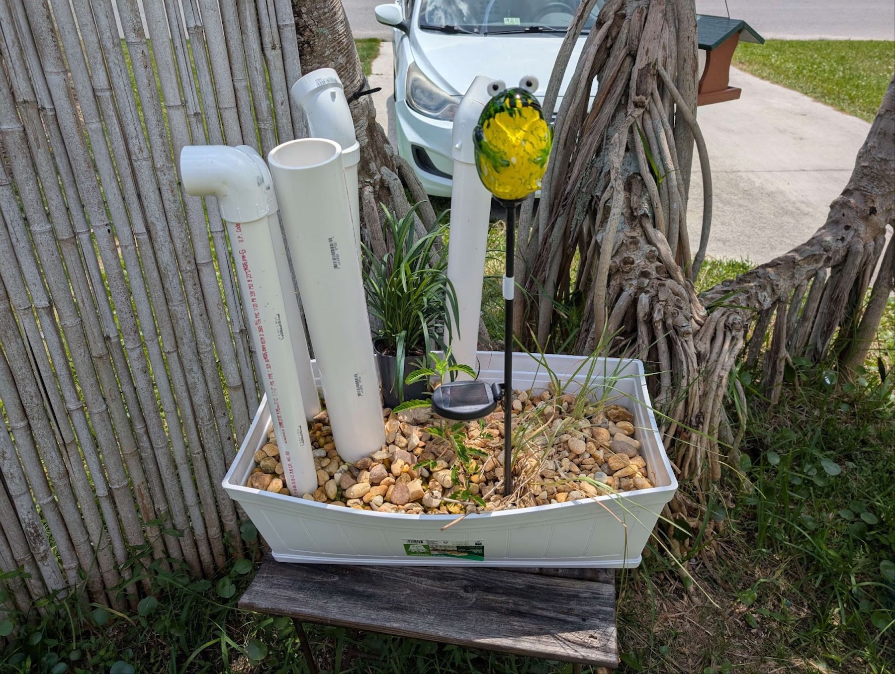 frog hotel with plants