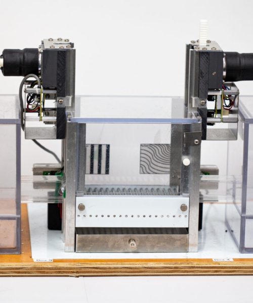 Love hormone could be key to friendship