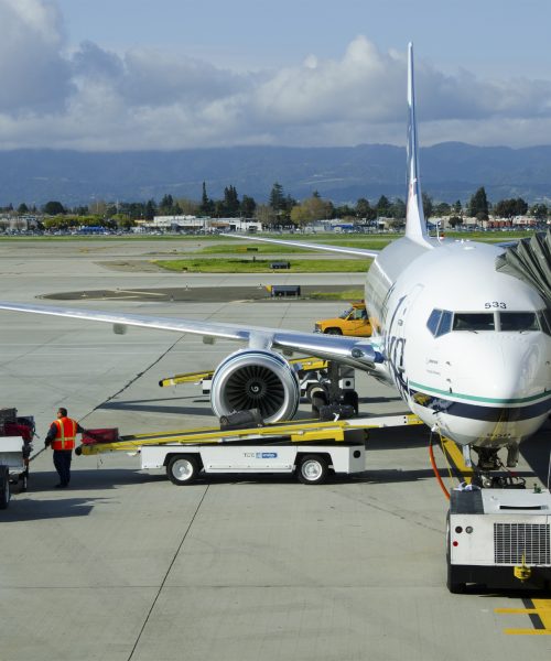 What really happens to your bag after you check it in?