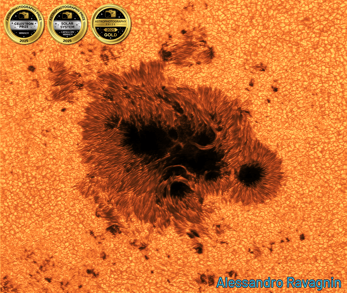 a close up of a sunspo