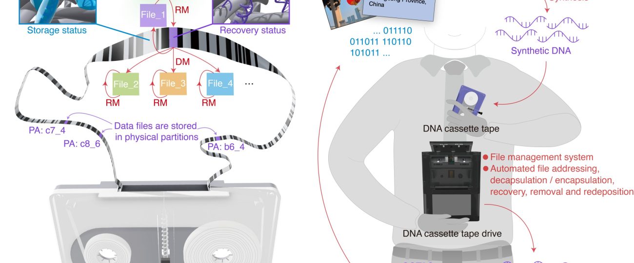 A single DNA cassette tape could store billions of photos