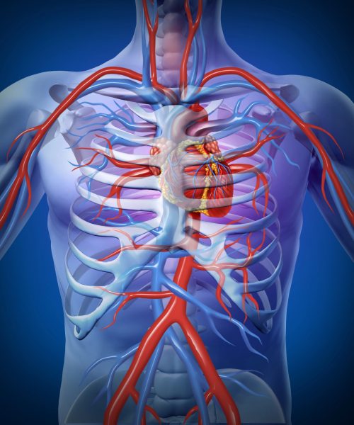 Are ‘hot’ workout classes better?