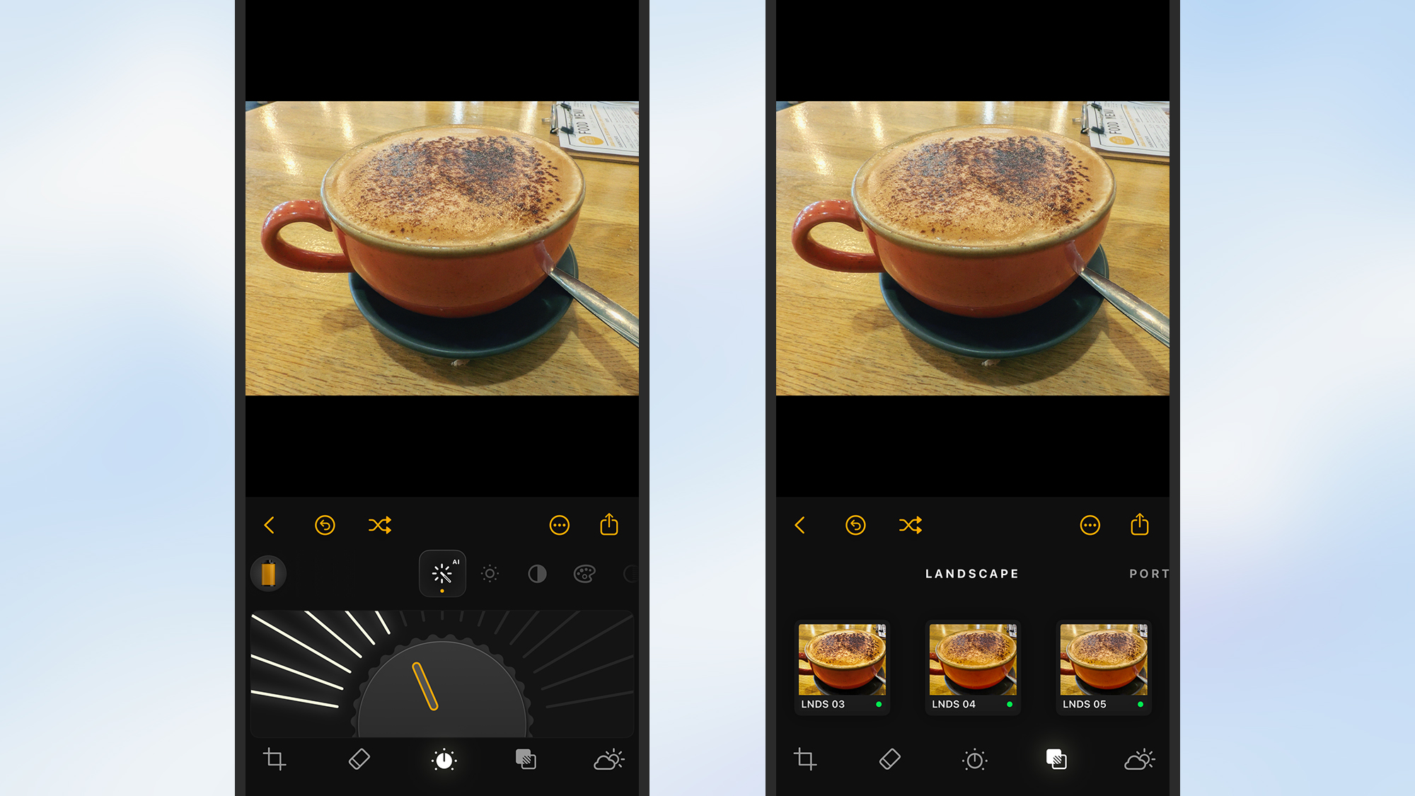 Screenshot of luminar interface and editing tools