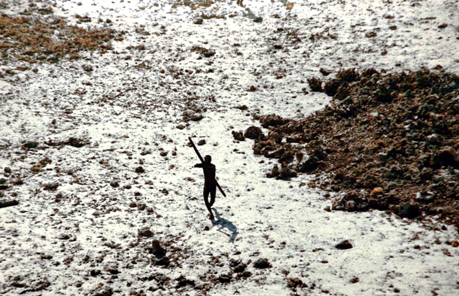 In the wake of the 2004 tsunami this member of the Sentinelese tribe was photographed firing arrows at a helicopter.
