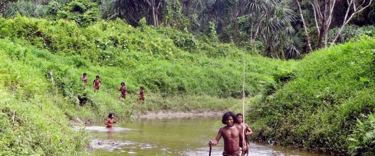 Half of all uncontacted Indigenous tribes may disappear by 2036
