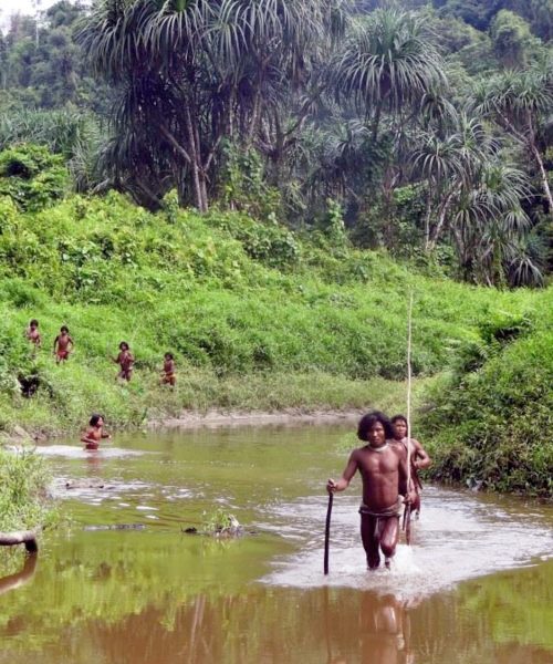 Half of all uncontacted Indigenous tribes may disappear by 2036